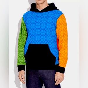 Coach Multicolor V-Neck Sweater